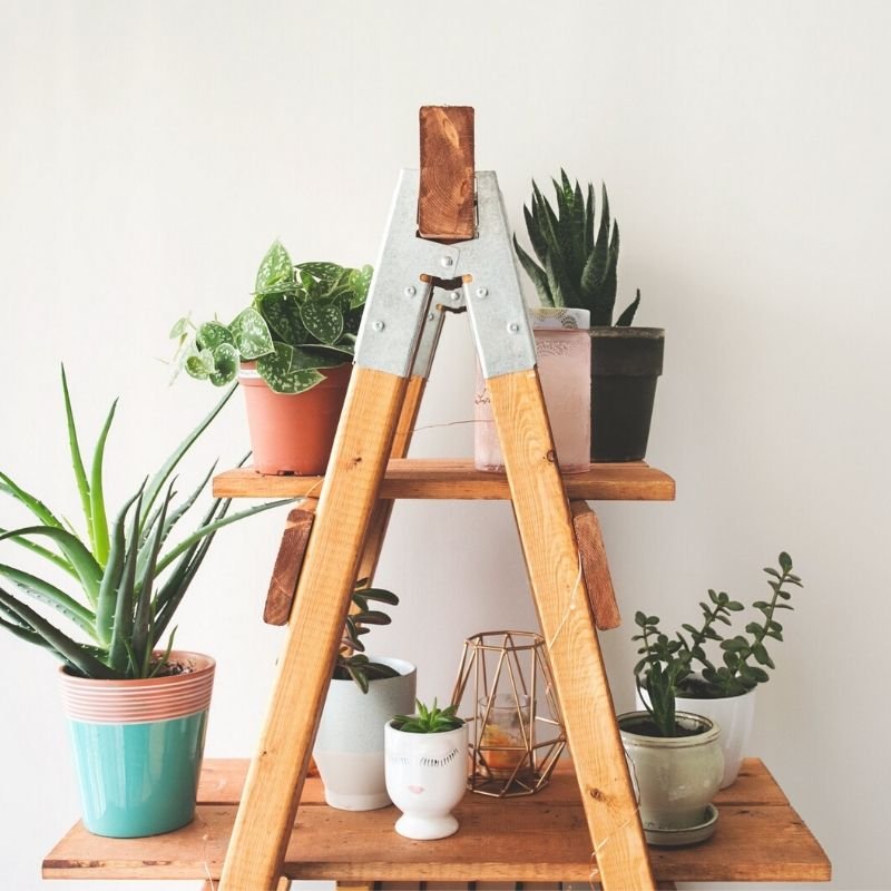 Homemarket.mk-Garden