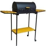 Skara so pomosni masi